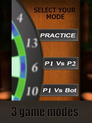 Professional Darts 3D screenshot 3