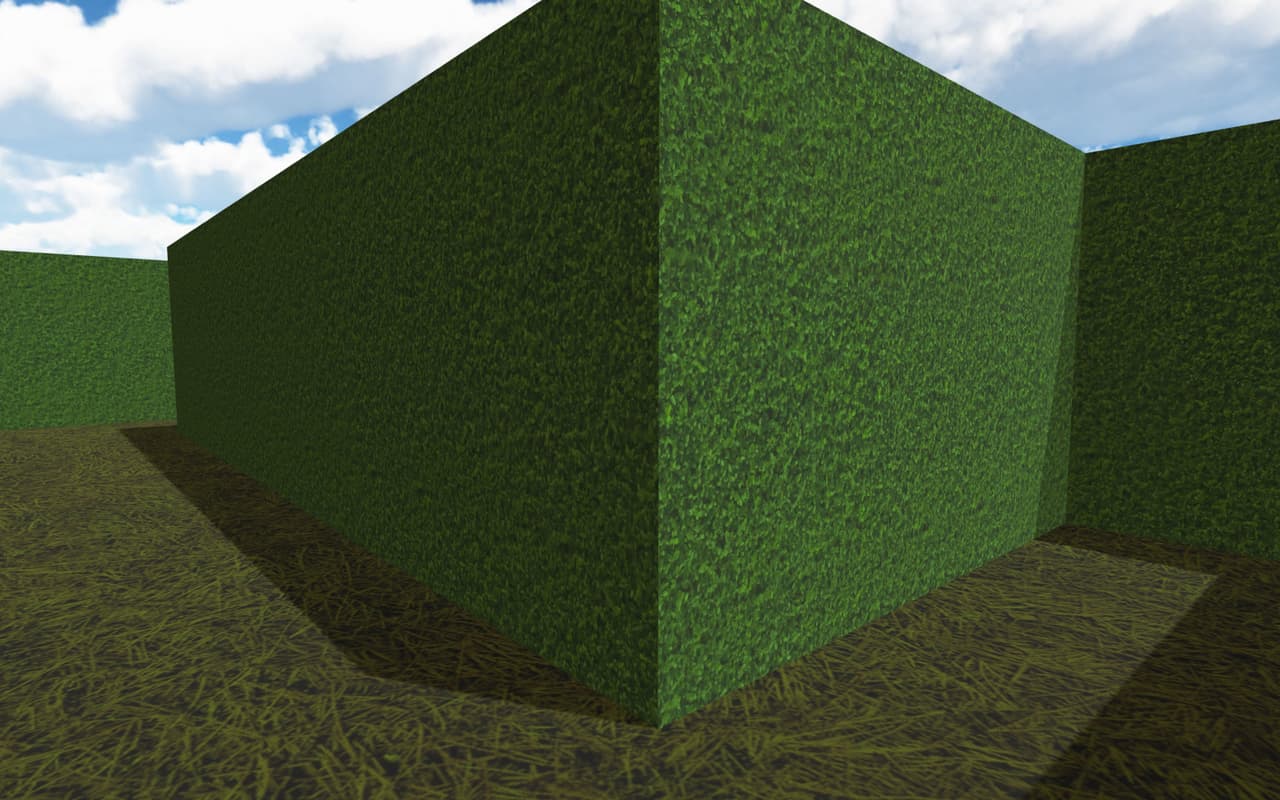 First Person Maze