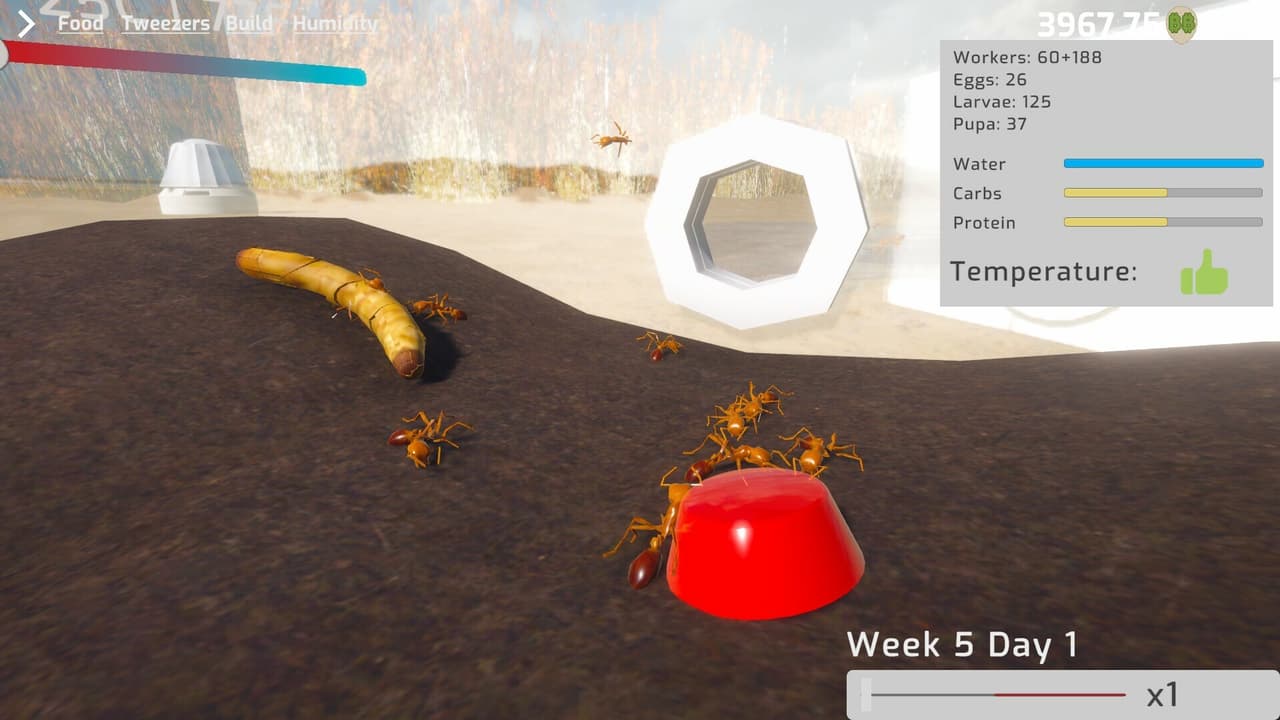 Ant Keeping Simulator screenshot 3