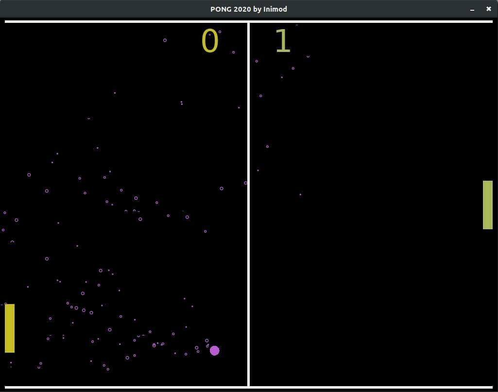 PONG2020 (inimod)