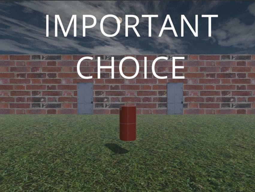 Important Choice