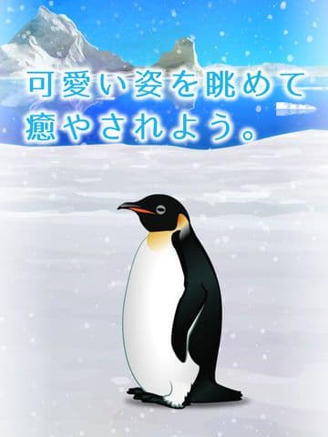 Penguin Aquarium