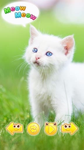 cute animal pictures & sounds screenshot 2