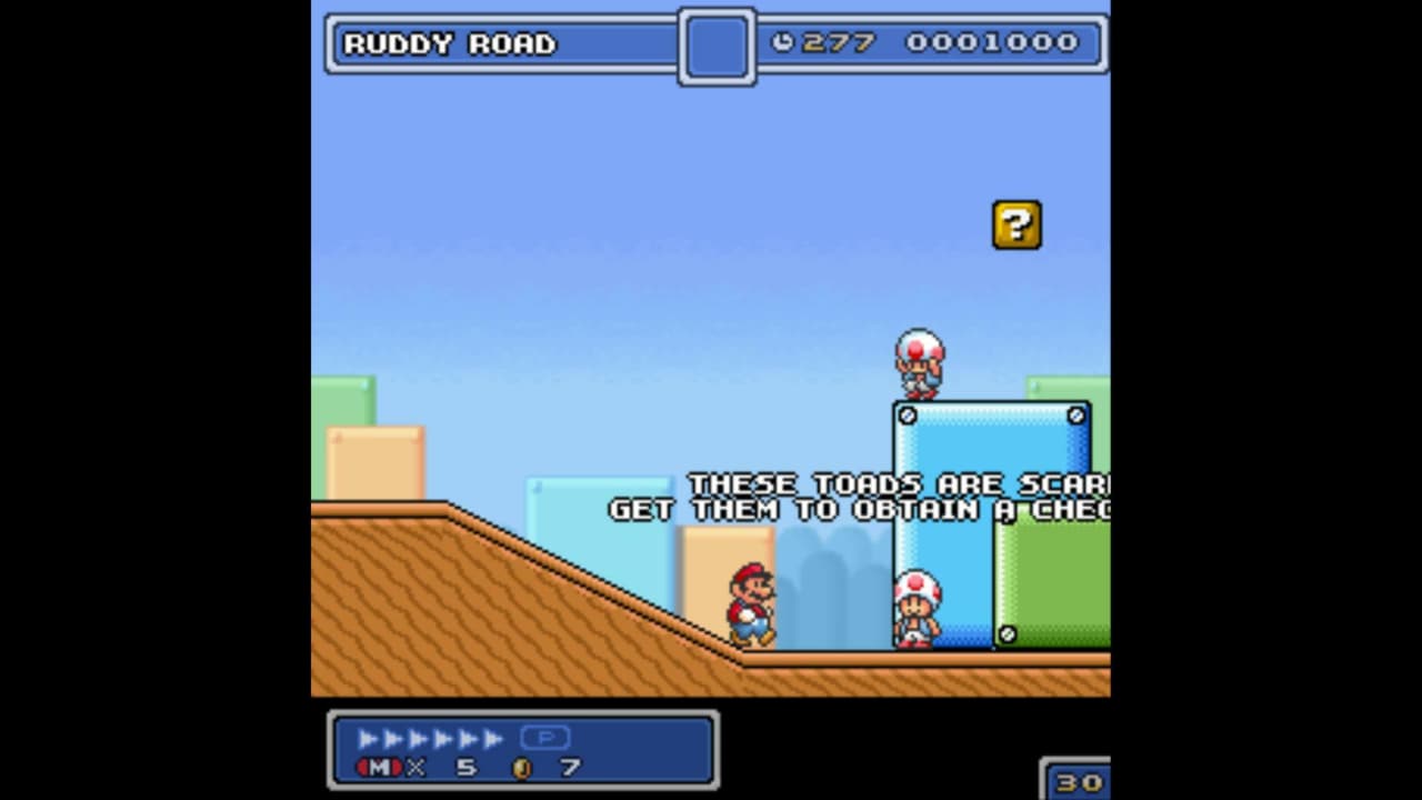 Super Mario Bros 5 screenshot 3