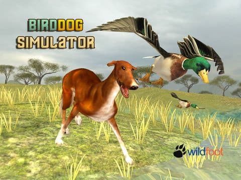 Bird Dog Chase Simulator screenshot 2