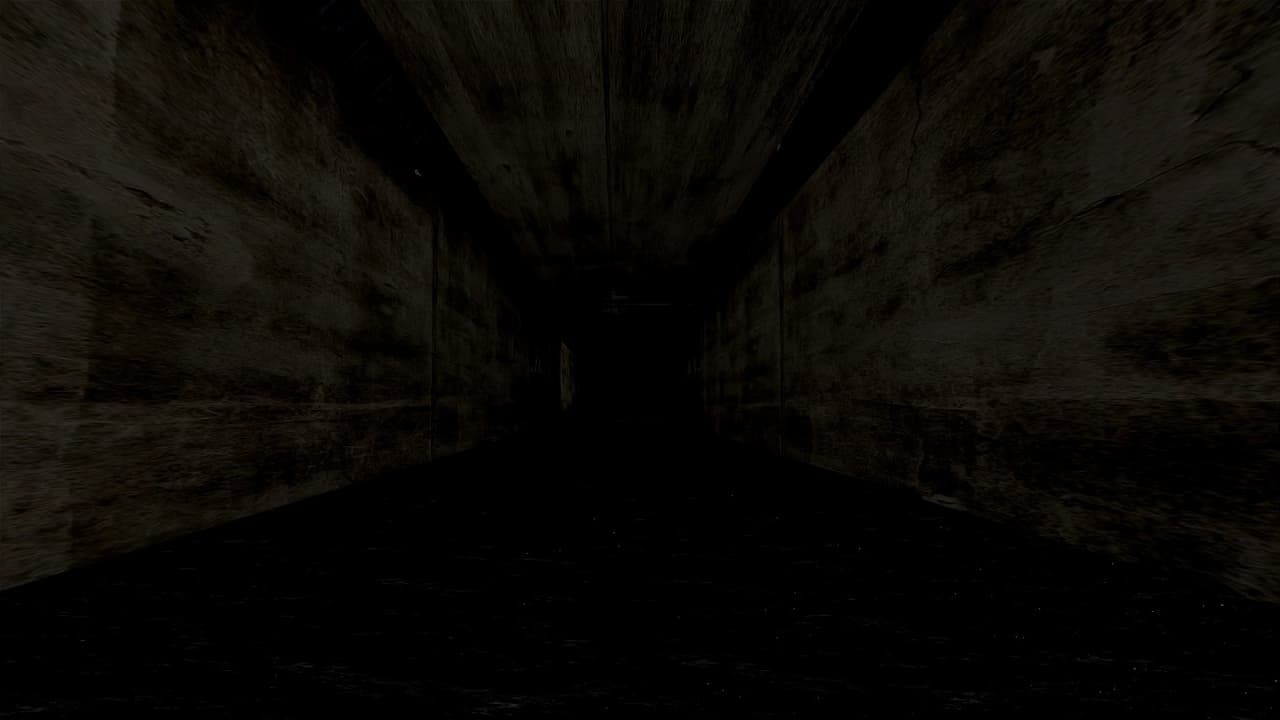 The Tunnel (Protag)