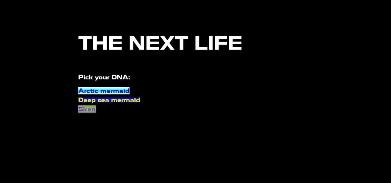THE NEXT LIFE screenshot 2