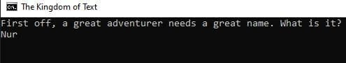 Kingdom Of Text (Batch File Game) screenshot 3