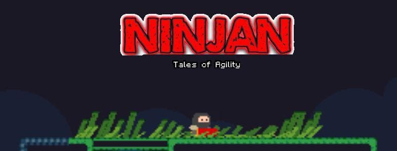 Ninjan screenshot 4