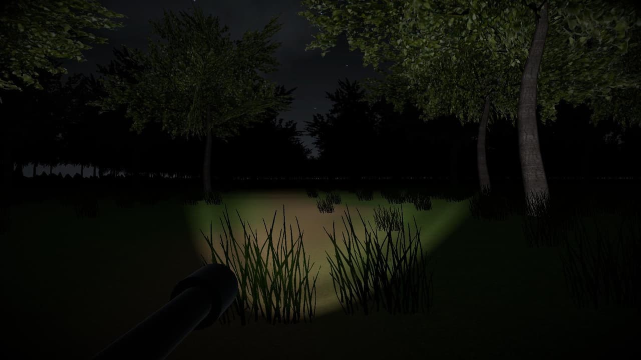 The Forest Is Cursed screenshot 5