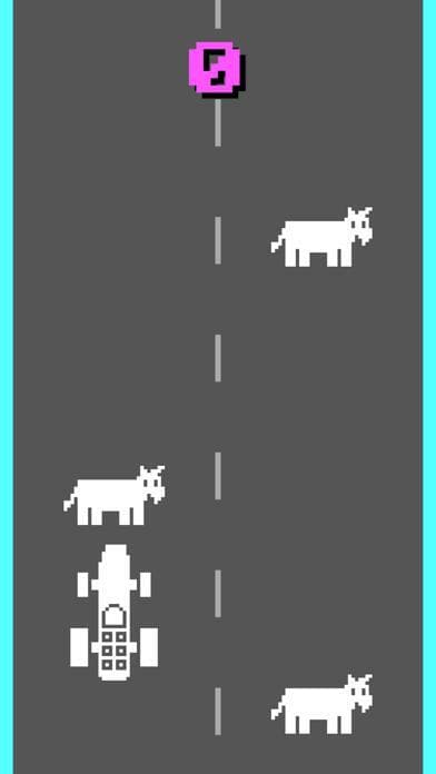 DONKEY.APP screenshot 2