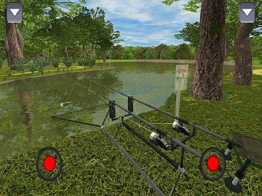 3DCARP screenshot 3
