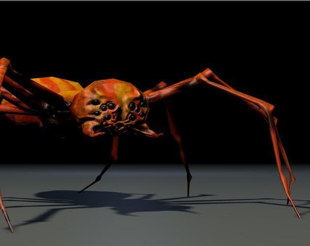 Spiders (Oirere-Jr)
