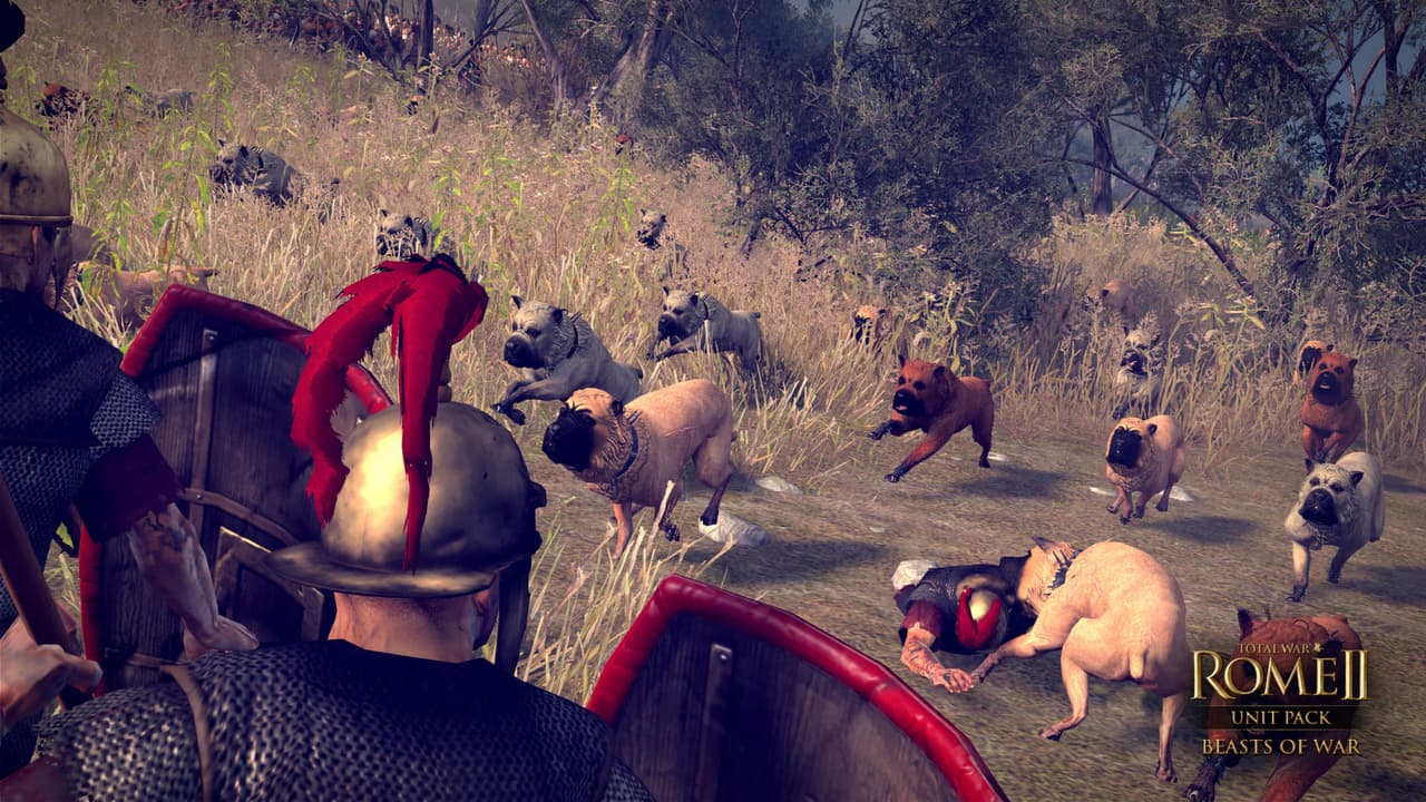 Total War: Rome II - Beasts of War screenshot 4