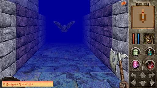 The Quest - Celtic Queen