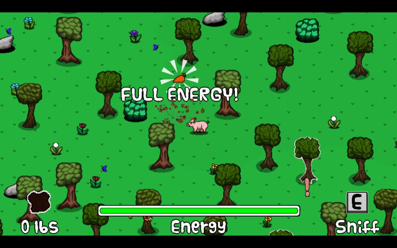 Tired Truffle Pig screenshot 5