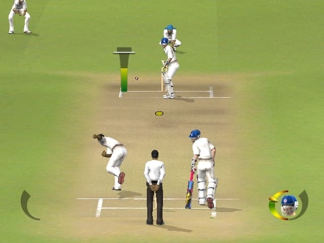 Brian Lara International Cricket 2005 screenshot 6