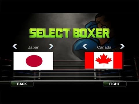 Real 3D Women Boxing screenshot 5