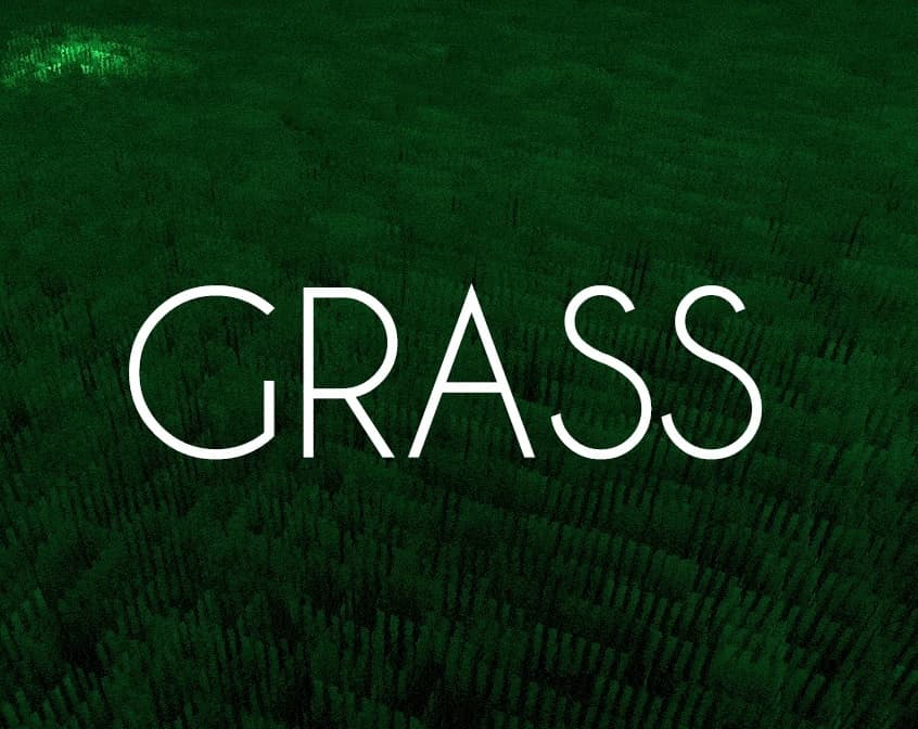 Grass