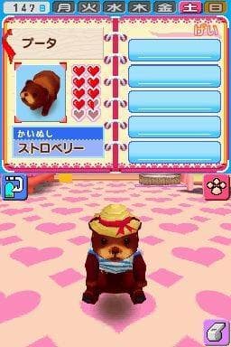 Pet Shop Monogatari 2 screenshot 2