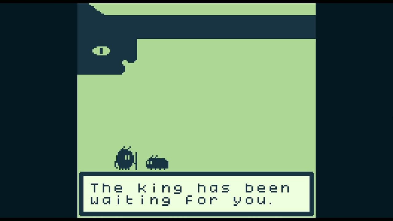 __VISIBLE screenshot 6
