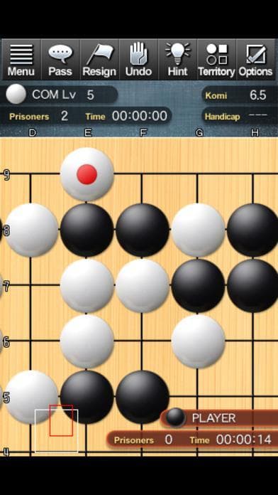 Champion Go Entry Edition screenshot 2