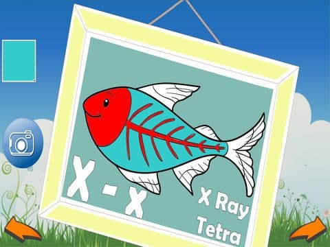 ABC Animal Coloring