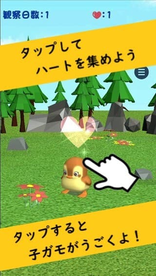 Kamo Sampo -Bird watching screenshot 2