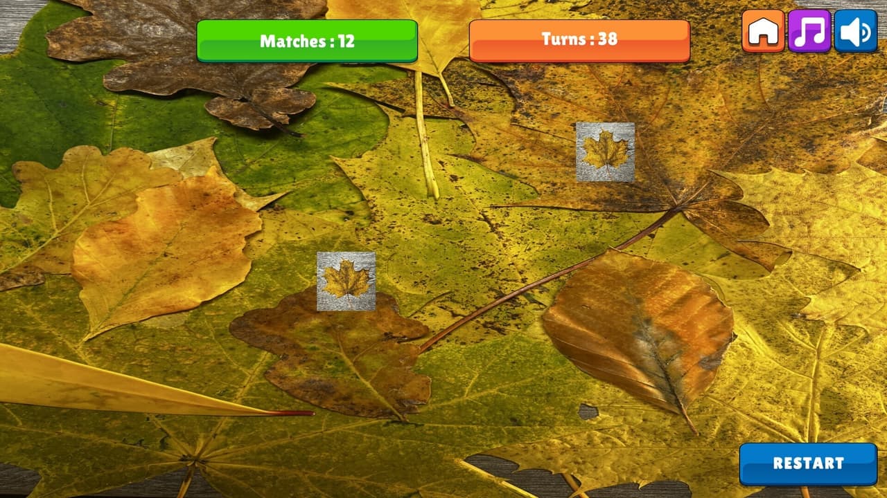 OG Memory: Fall 2K23