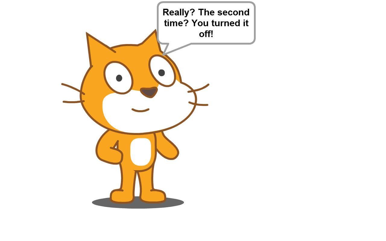 Cat Error