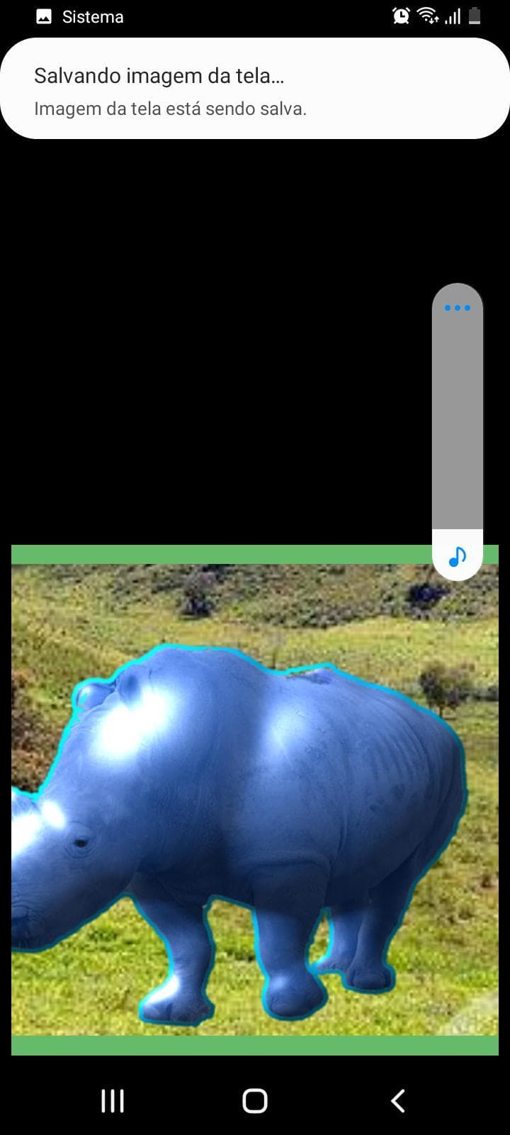 Rinozul screenshot 4