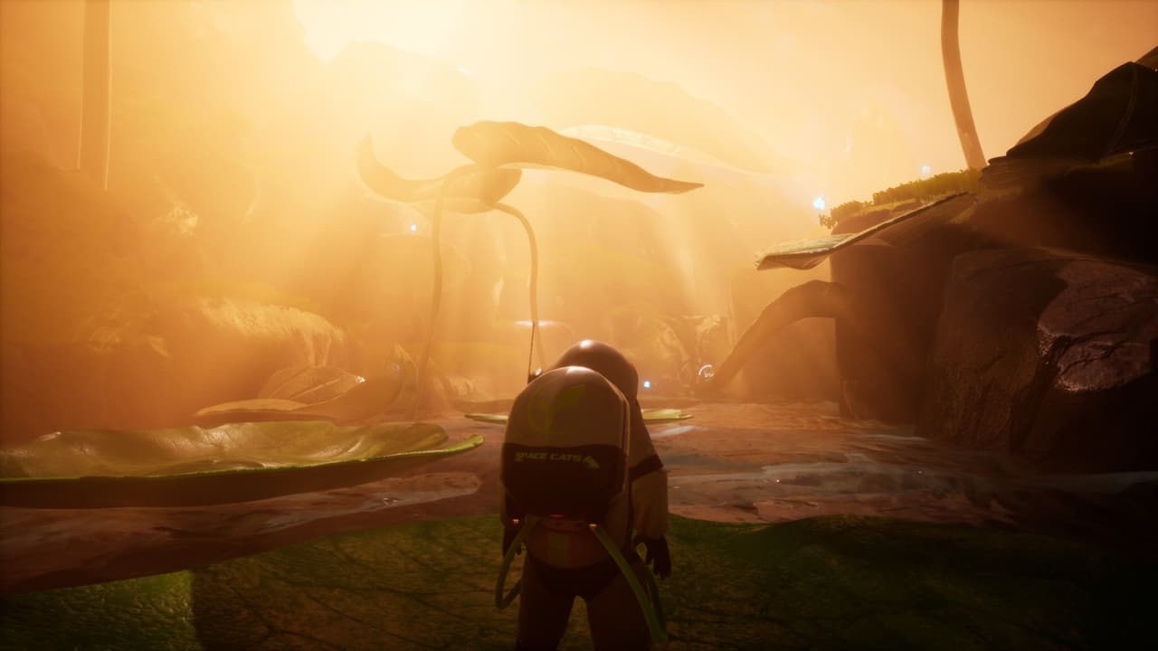 Planted screenshot 3