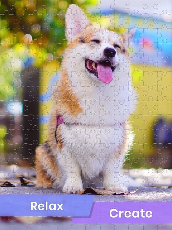 ⋆ Jigsaw Puzzle