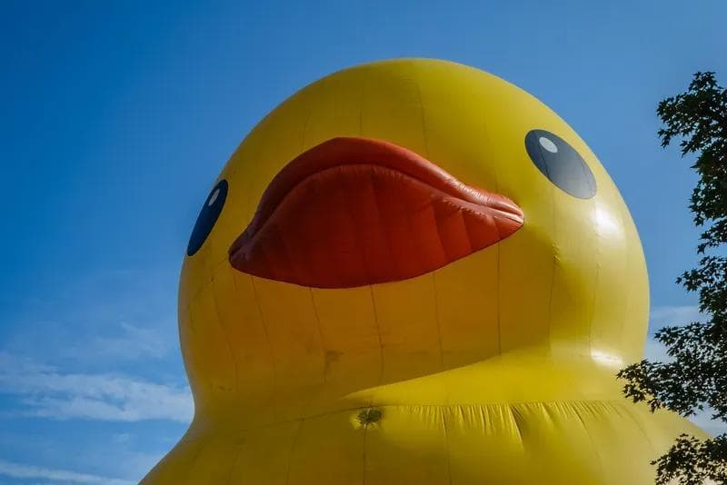 DUCK DUCK DIE