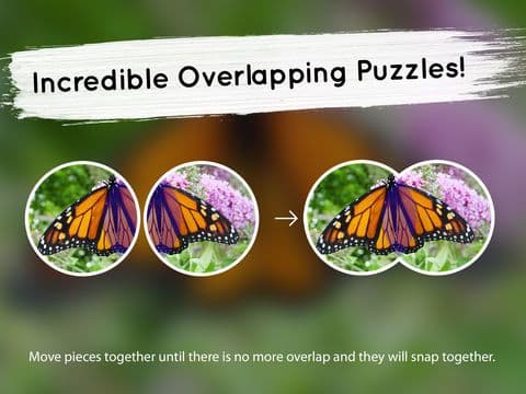 Venn Butterflies: Overlapping Jigsaw Puzzles screenshot 2