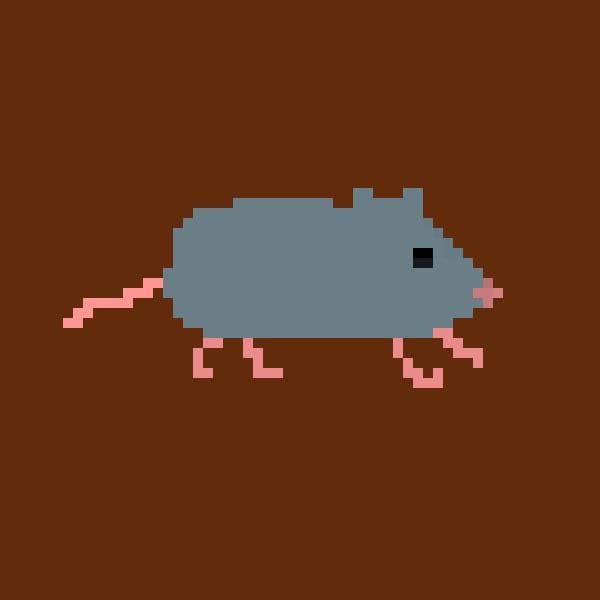 Mouse Expert