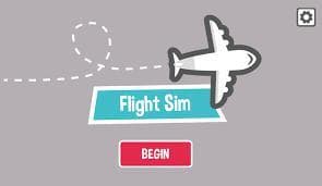 Flightsim