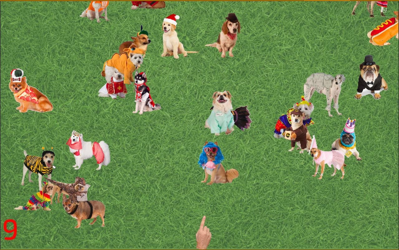 Look at that Dog!