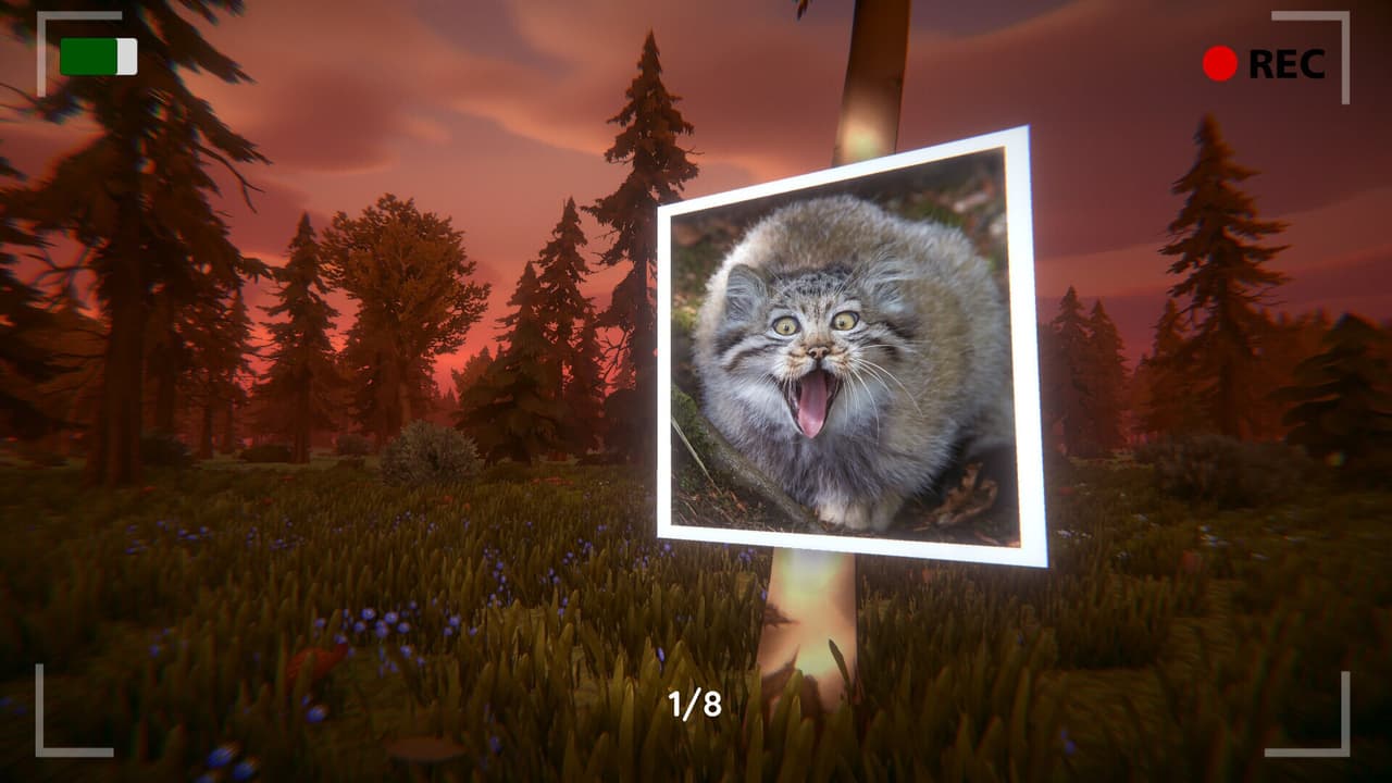 Floppa: The Dark Forest screenshot 6