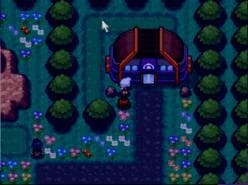 Pokémon World EX screenshot 3