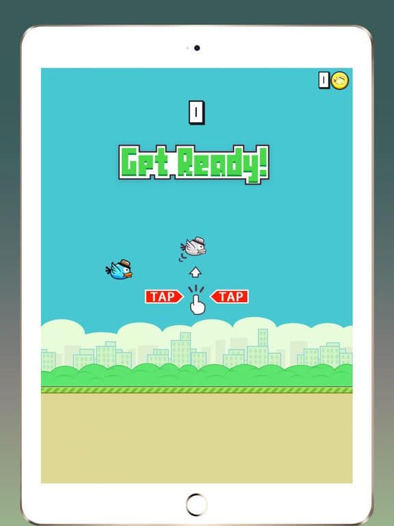 Crazy Bird:Flying bird screenshot 3