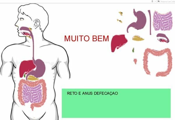 digestorio
