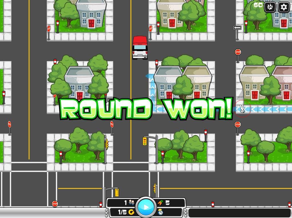 Bunnies and Buses