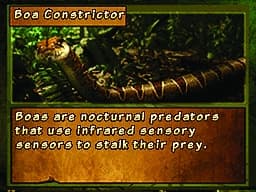 Discovery Kids Snake Safari