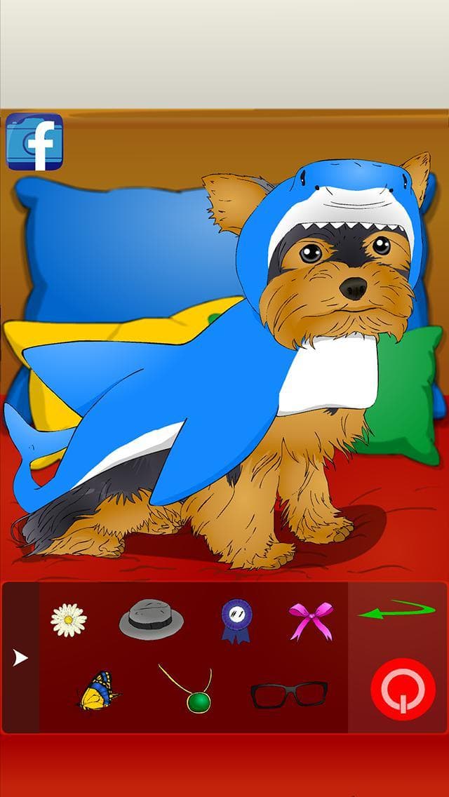 Poor Little Dog