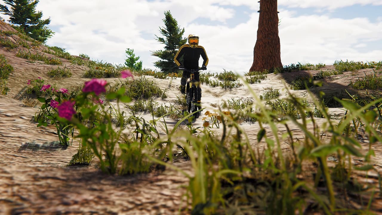 BMX Wild Run screenshot 3
