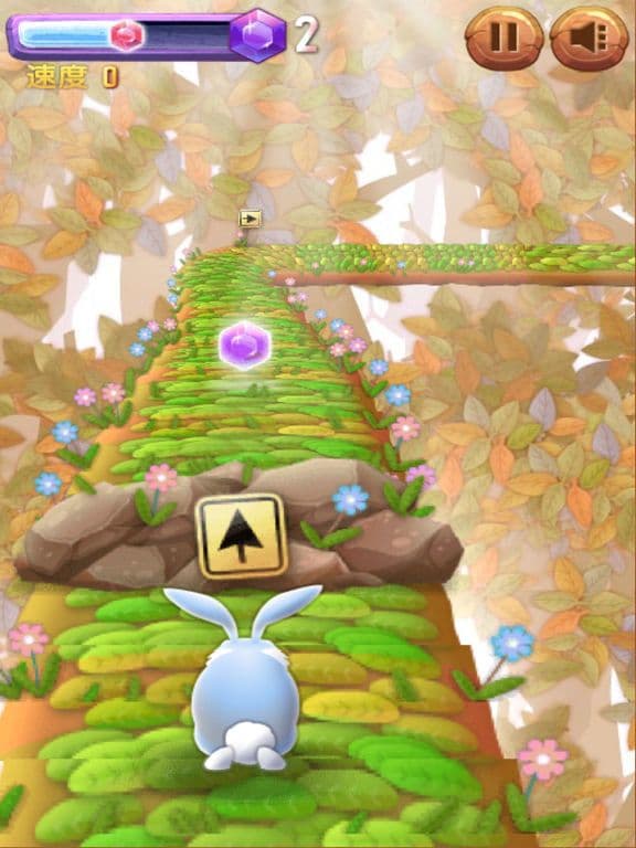 Rabbit Run Run Run! screenshot 4