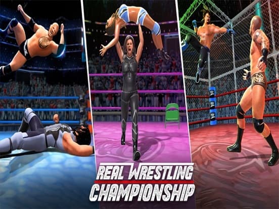 Real Wrestling Fight