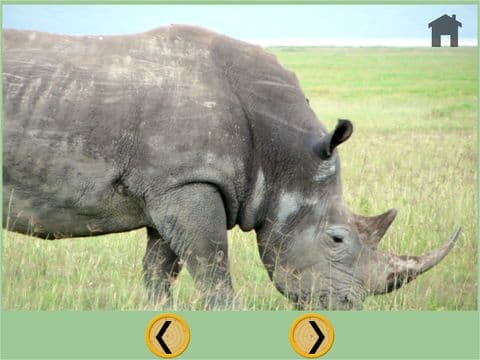 my favorite jungle animals - free game screenshot 5