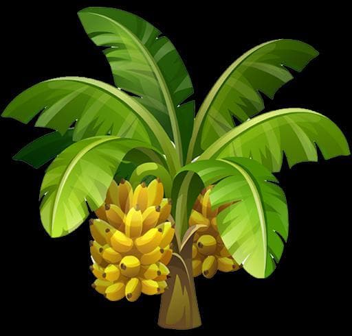 Banana Clicker (Goggi :D)